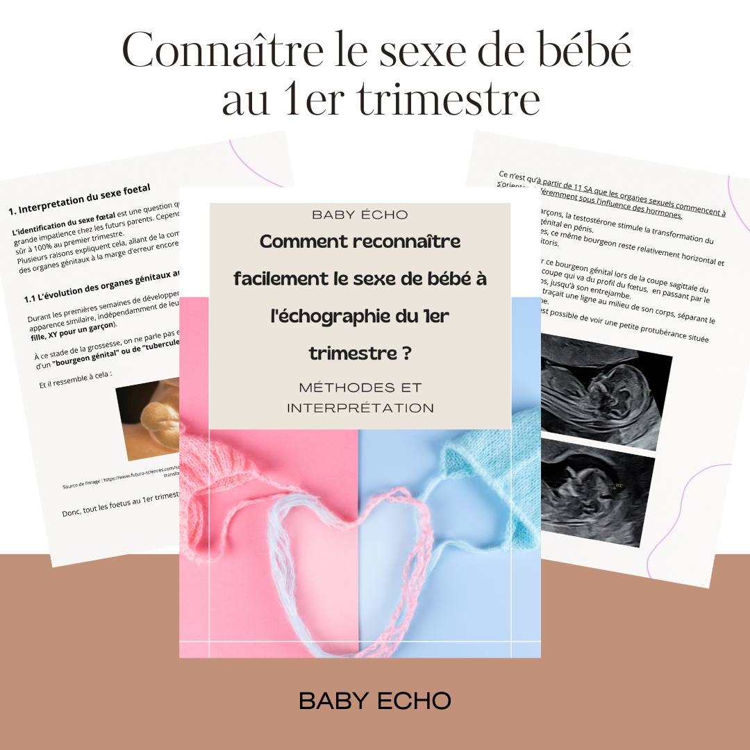 Pack 3 Guides + Calendrier de grossesse